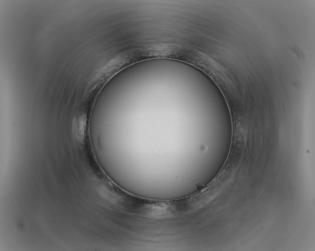 X0000113610118200909181427