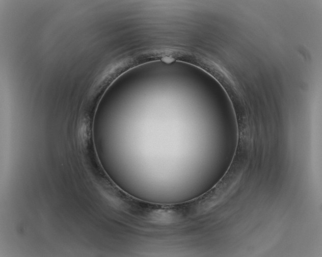 X0000113610119200909181427