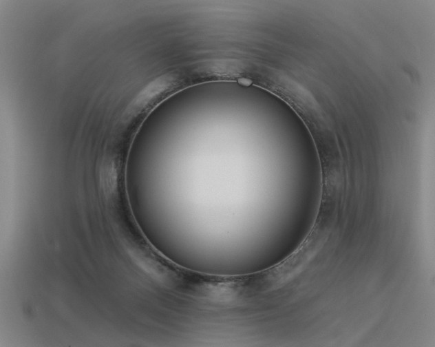 X0000113610120200909181427