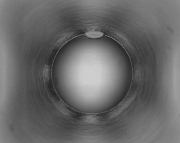 X0000113610121200909181427