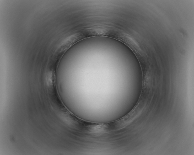 X0000113610122200909181427