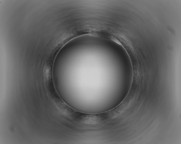 X0000113610123200909181427