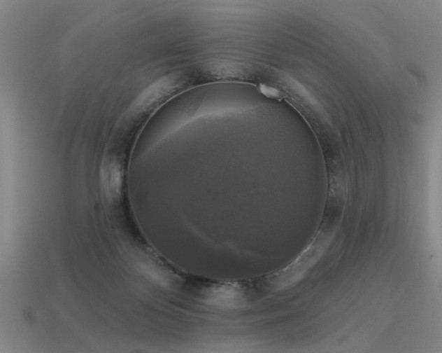 X0000113610124200909181427