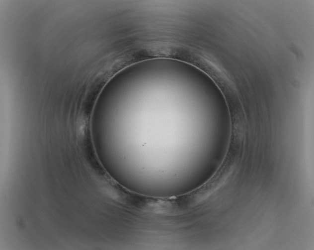 X0000113610125200909181427