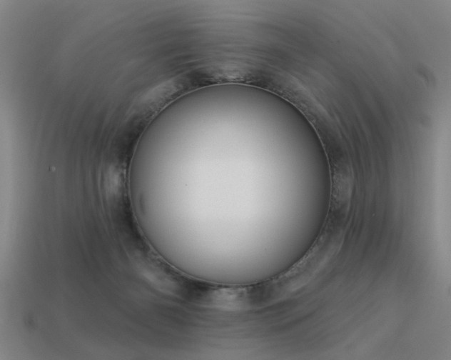 X0000113610126200909181427