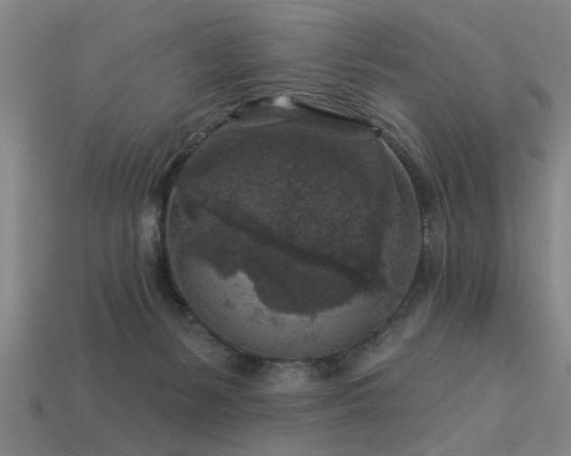 X0000113610127200909181427