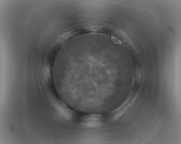 X0000113610128200909181427