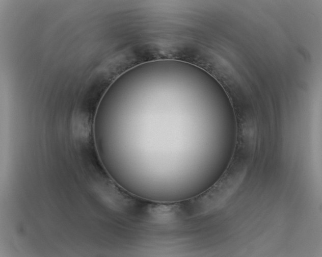 X0000113610129200909181427