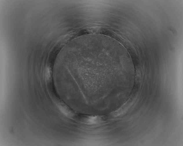 X0000113610130200909181427