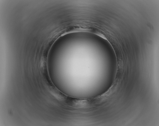 X0000113610132200909181427