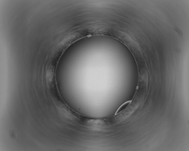 X0000113610133200909181427