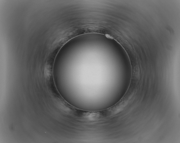 X0000113610135200909181427