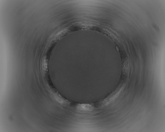 X0000113610137200909181426