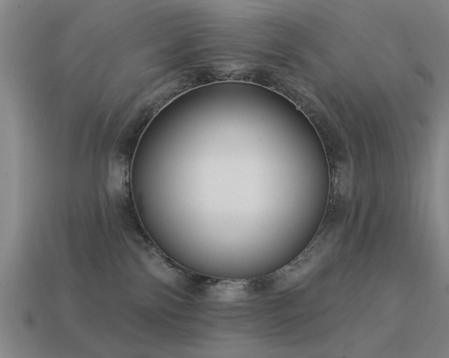 X0000113610138200909181426