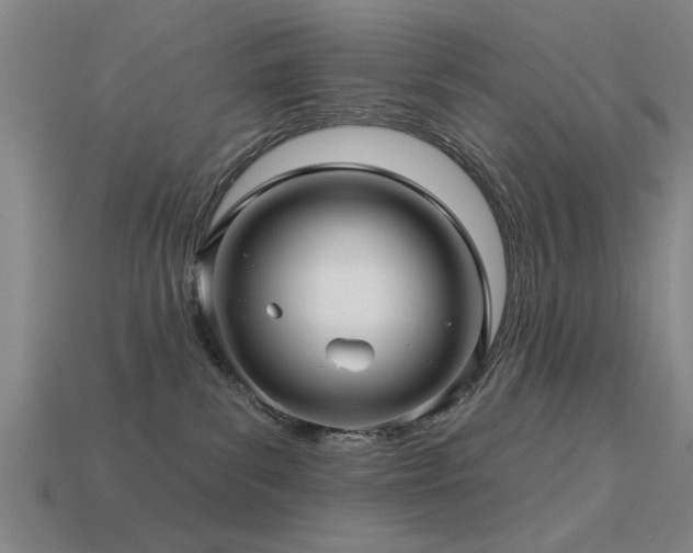 X0000113610139200909181426