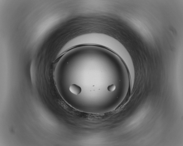 X0000113610140200909181426