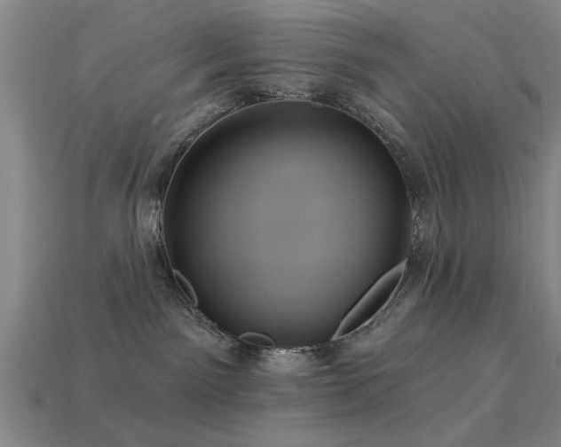 X0000113610141200909181426