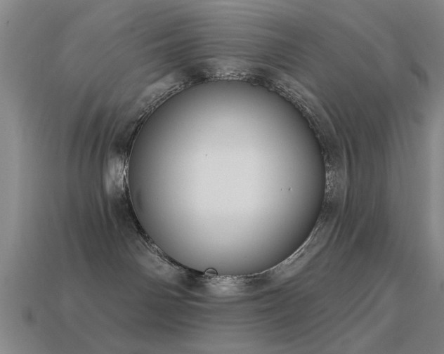 X0000113610142200909181426