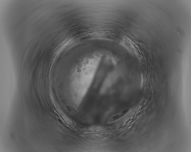 X0000113610145200909181426