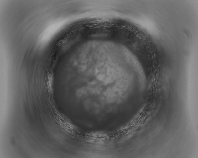 X0000113610146200909181426