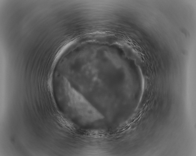 X0000113610147200909181426