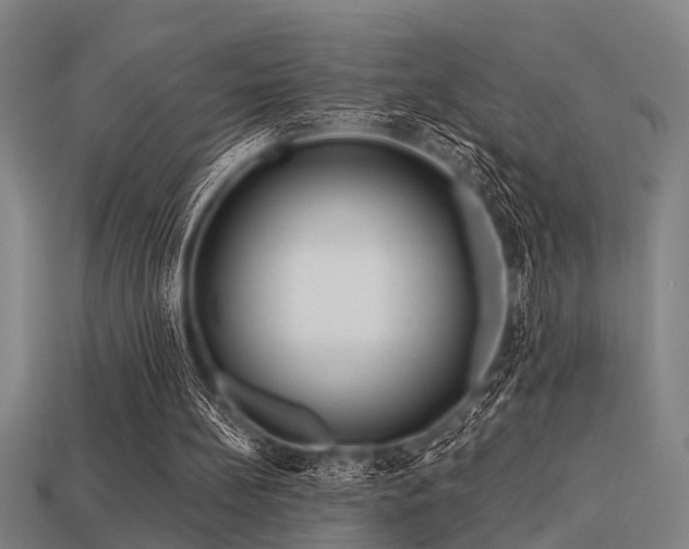 X0000113610148200909181426