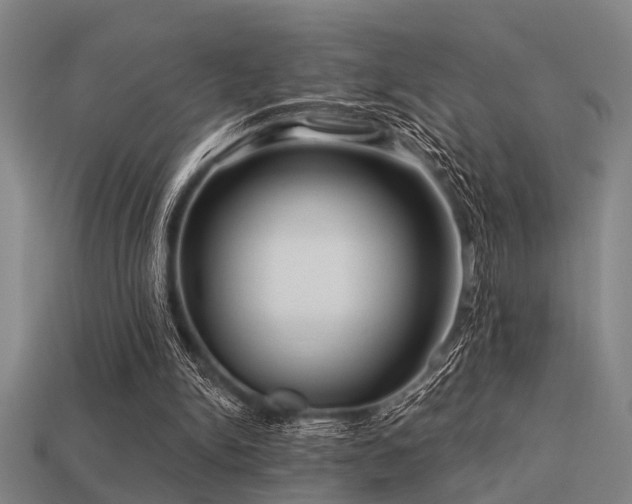 X0000113610150200909181426