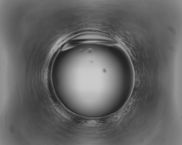 X0000113610151200909181426