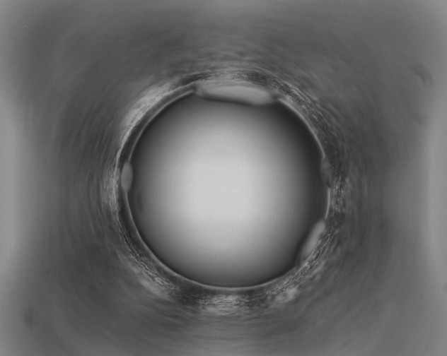 X0000113610152200909181426