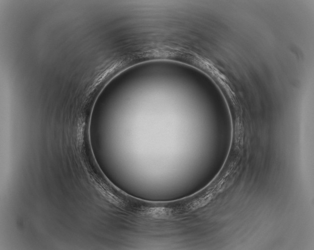 X0000113610153200909181426