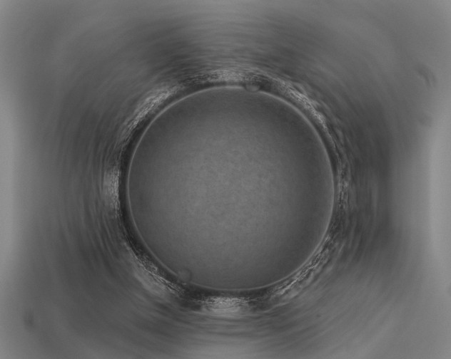 X0000113610154200909181426