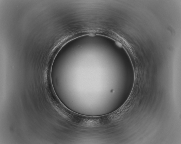 X0000113610155200909181426