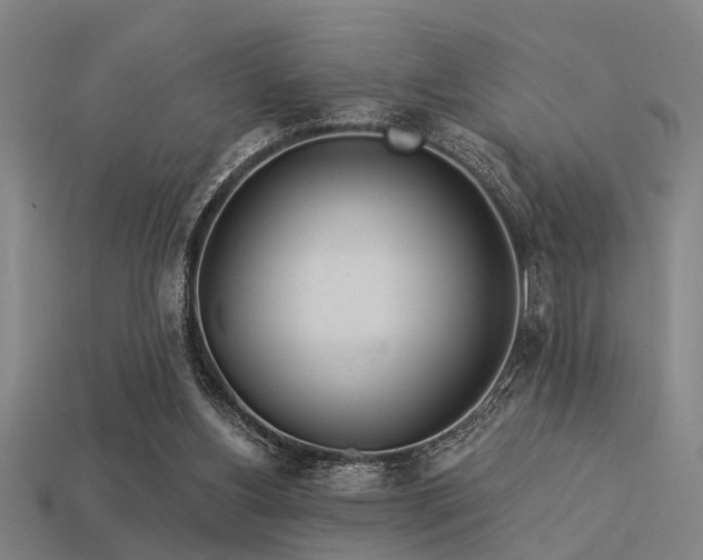 X0000113610156200909181426