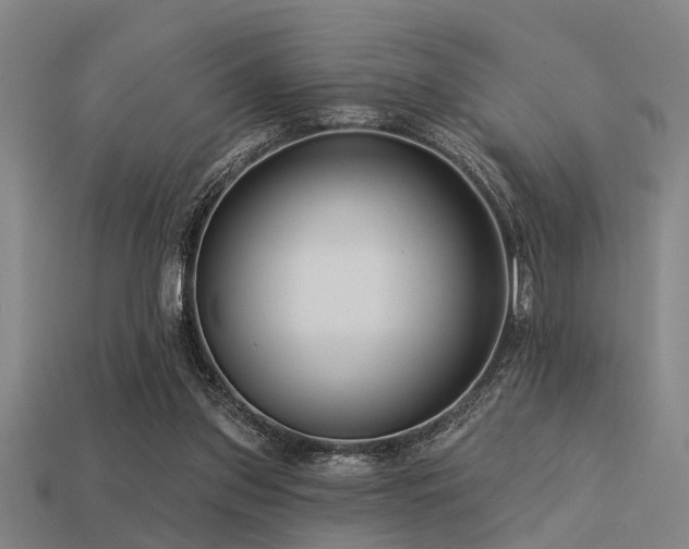 X0000113610157200909181426