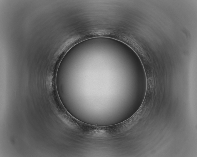 X0000113610159200909181426