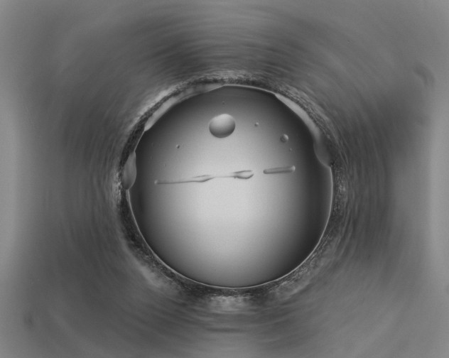 X0000113610160200909181426