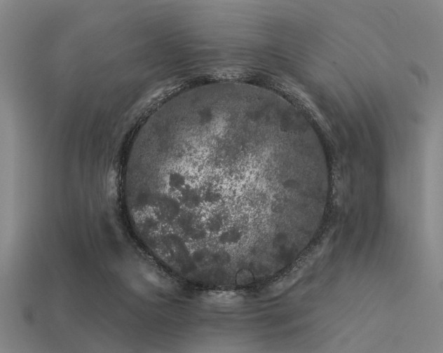 X0000113610161200909181426