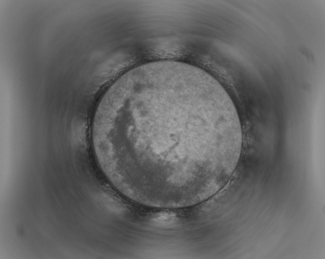 X0000113610162200909181426