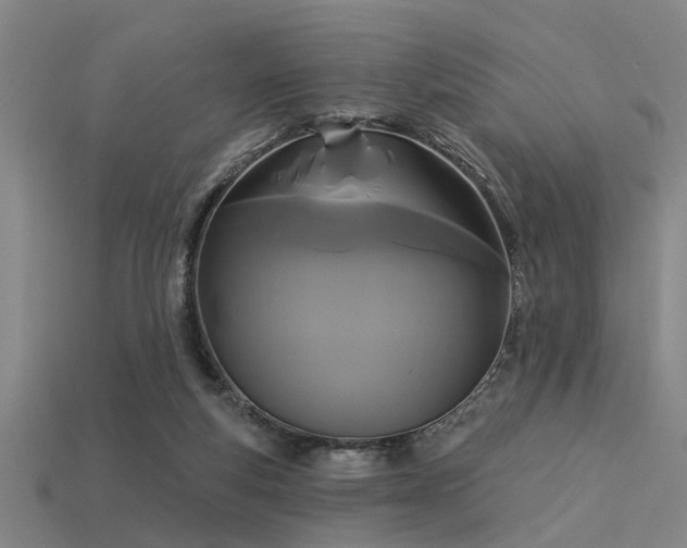 X0000113610163200909181426