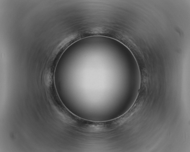 X0000113610164200909181426