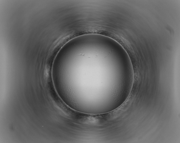 X0000113610166200909181426