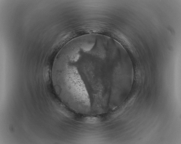 X0000113610169200909181426