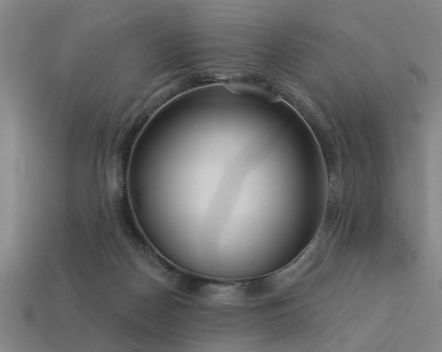 X0000113610170200909181426