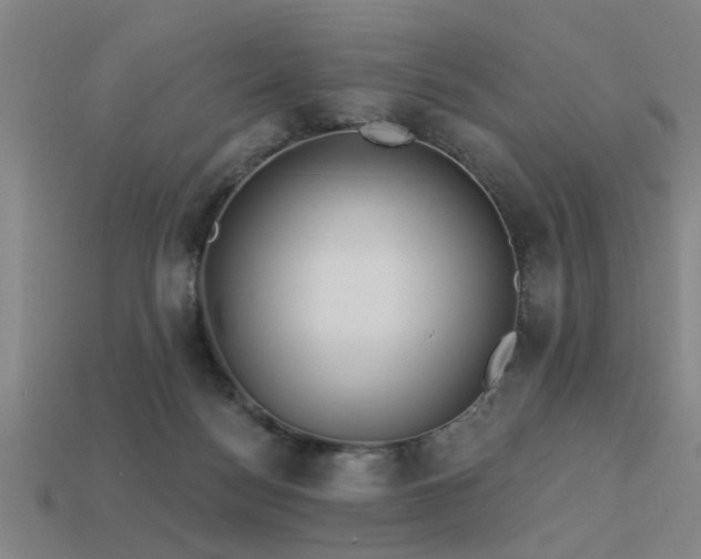 X0000113610172200909181426