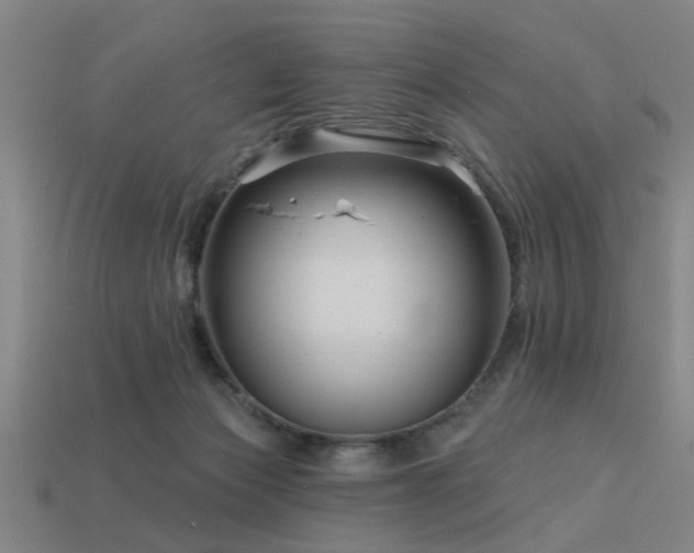 X0000113610173200909181426