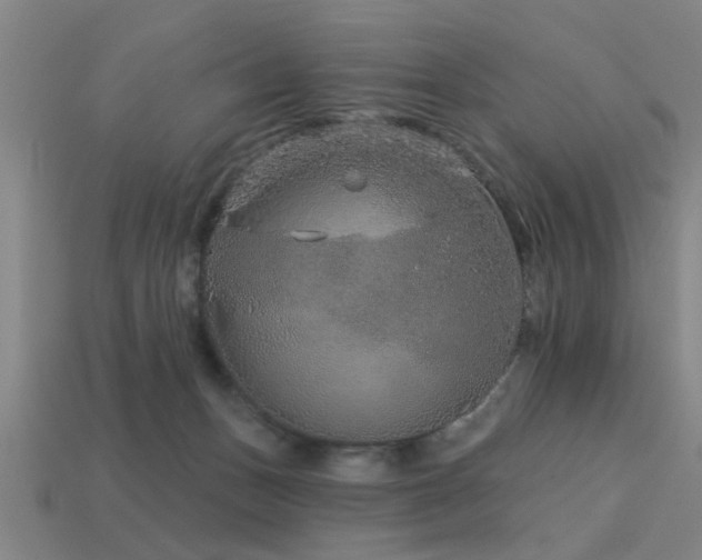 X0000113610175200909181426