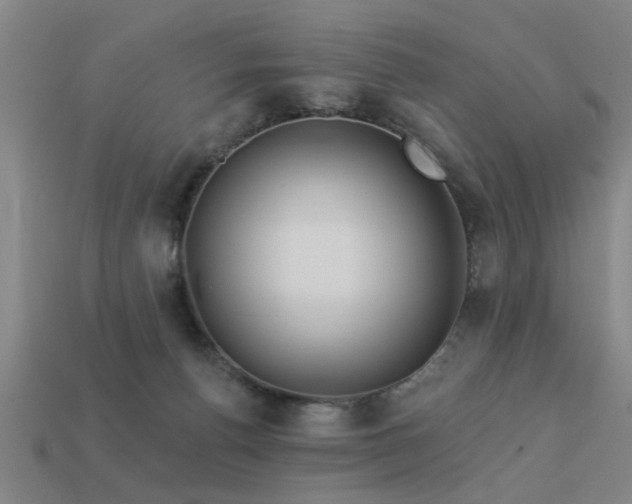 X0000113610176200909181426