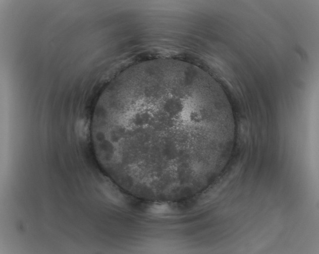 X0000113610177200909181426