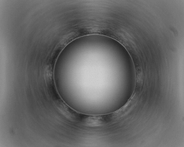 X0000113610179200909181426