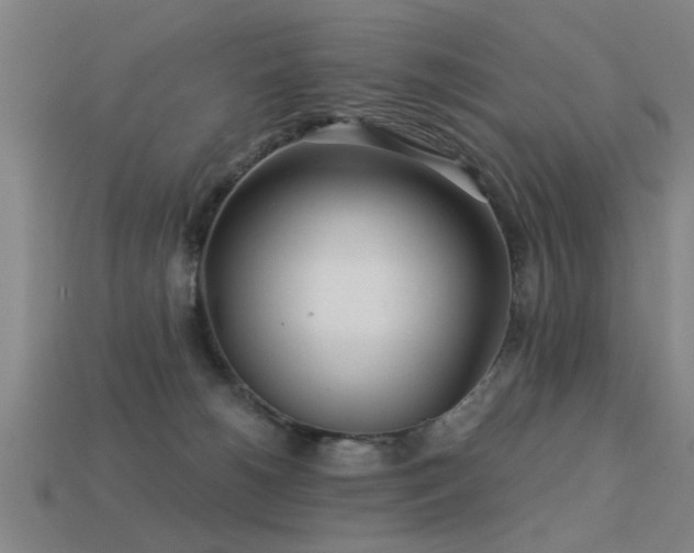 X0000113610180200909181426